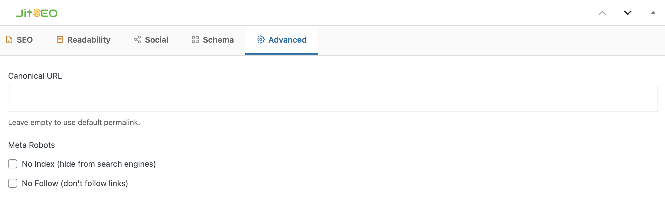 Advanced tab with Canonical URL field and No Index / No Follow meta robots checkboxes